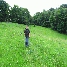 img_5315.jpg