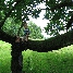 img_5331.jpg