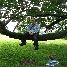 img_5338.jpg