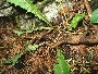 img_5358.jpg