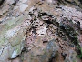 img_5373.jpg