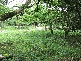 img_5376.jpg