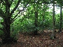 img_5381.jpg