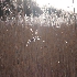 P1222757.JPG